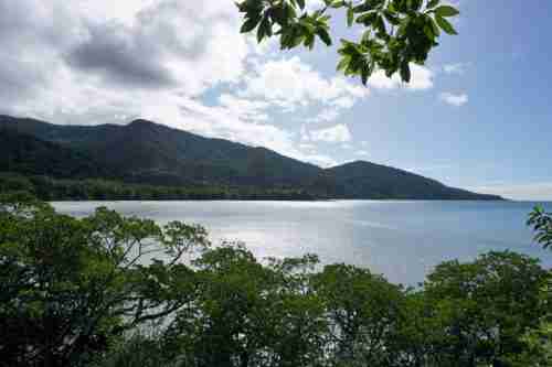 Visiting The Delightful Daintree Rainforest From Cairns Muy Linda Travels