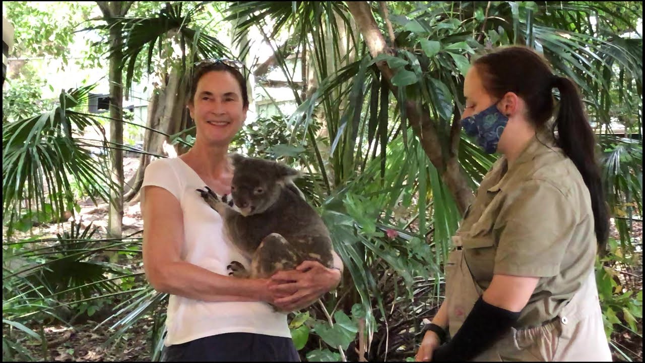 Hugging a Koala