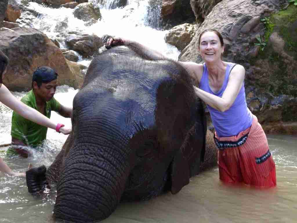 washing an elephant in Myanmar