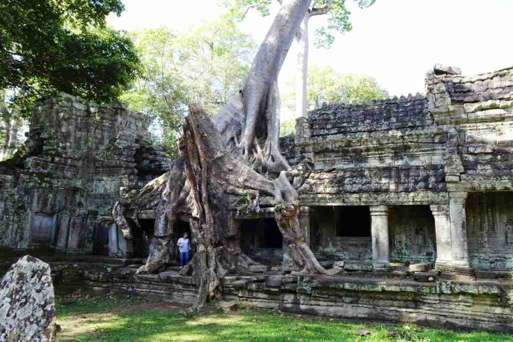 Solo travel in Cambodia to Ta Prohm temple Angor