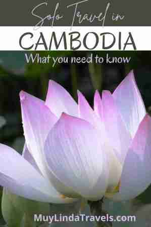 cambodia travel alone