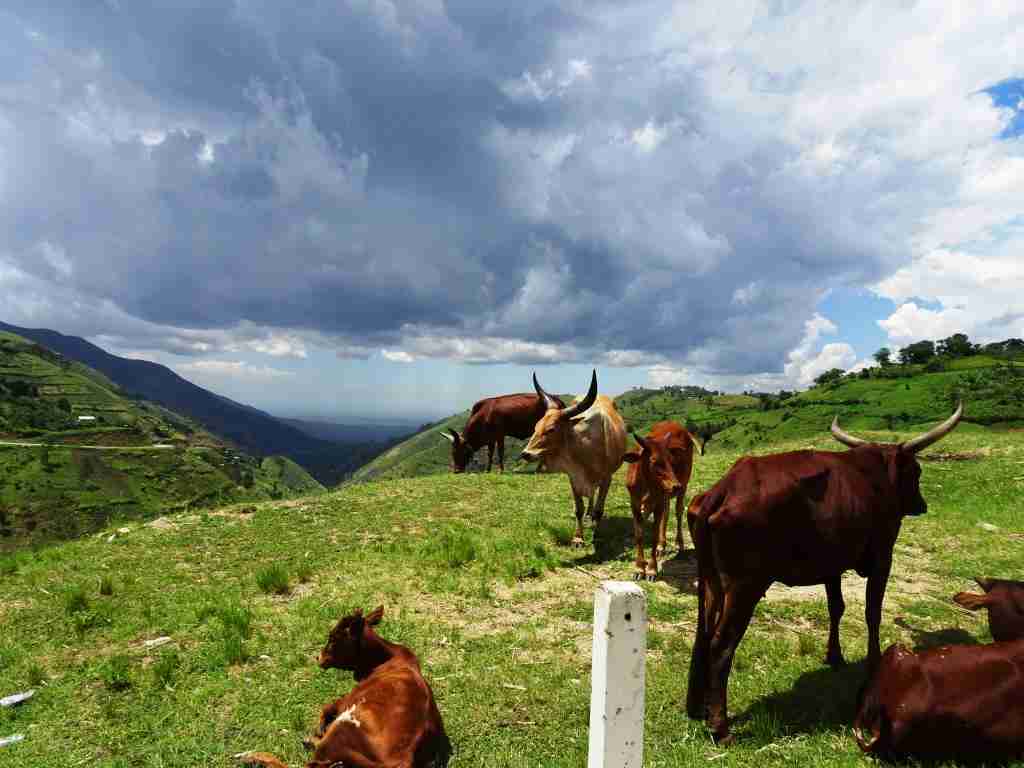 Fort Portal Uganda