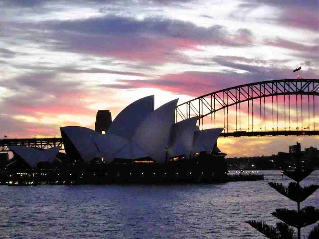 A gorgeous Sydney sunset 