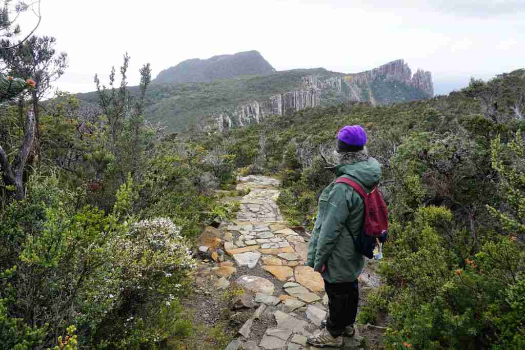 a paved stretch of the 3 Capes walk in Tasmania with cliffs in the distance