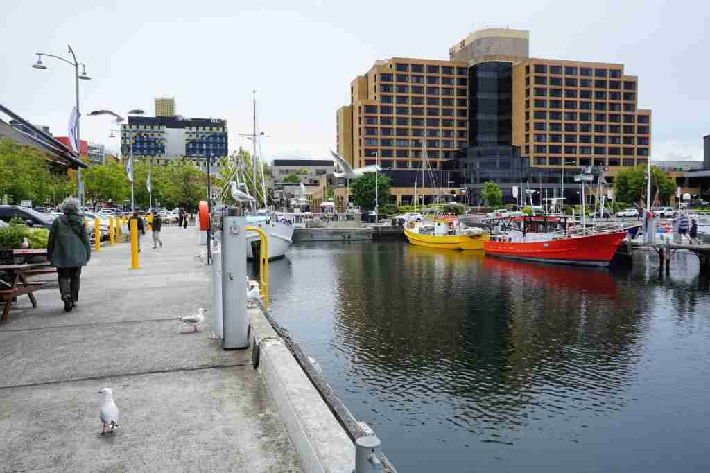 The Hobart Waterfront