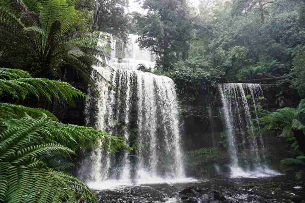 Russell Falls in Mount Field National Park