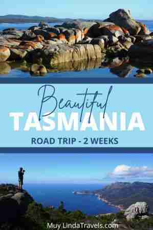 south tasmania road trip