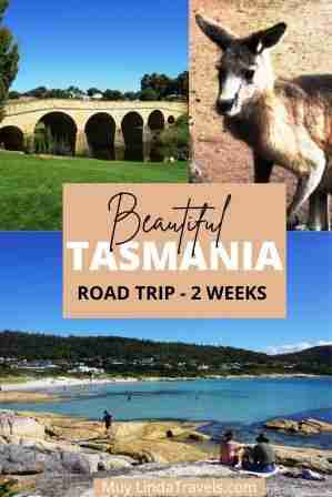 south tasmania road trip