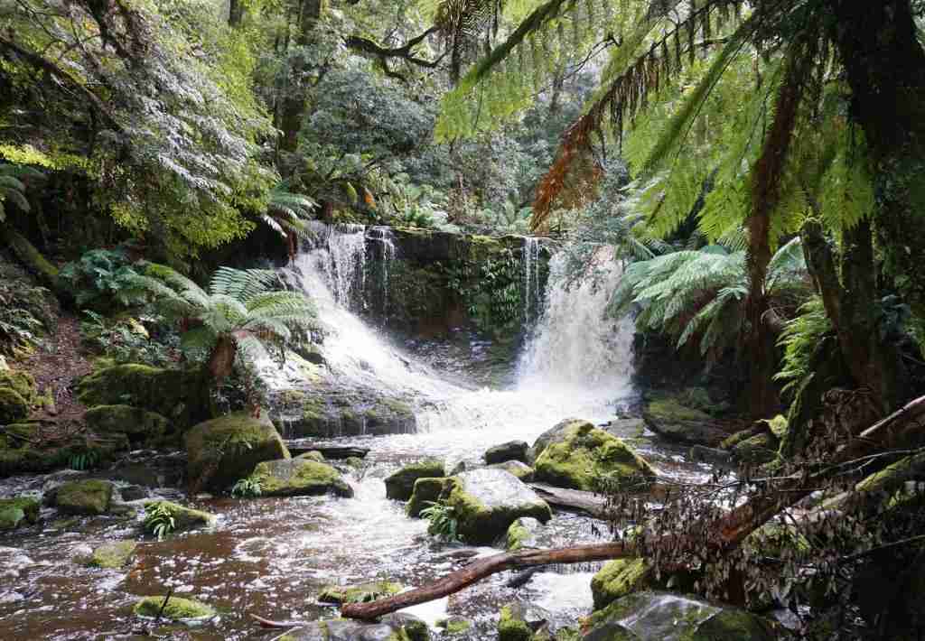 Waterfalls at Mount Field National Park day trips from Hobart