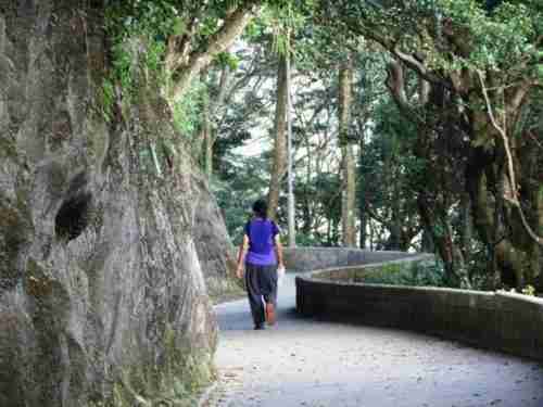 woman walking on a winding path on the peak, one of the top attractions in Hong Kong