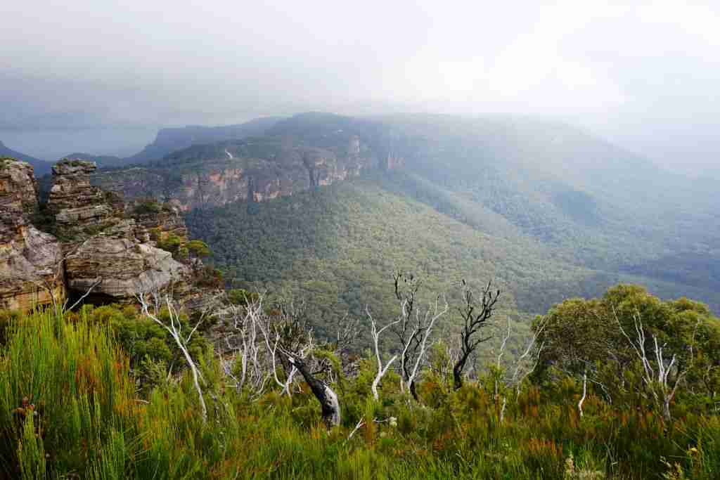 17 Best Blue Mountains Lookouts (with local tips) - Muy Linda Travels