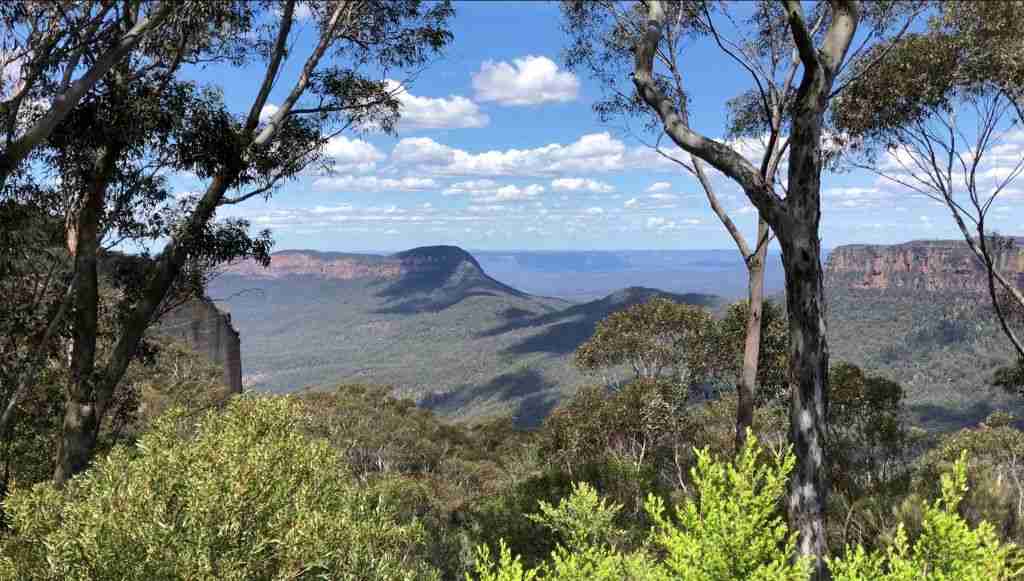 Beautiful view of the forested valley of Katoomba in the Blue Mountains