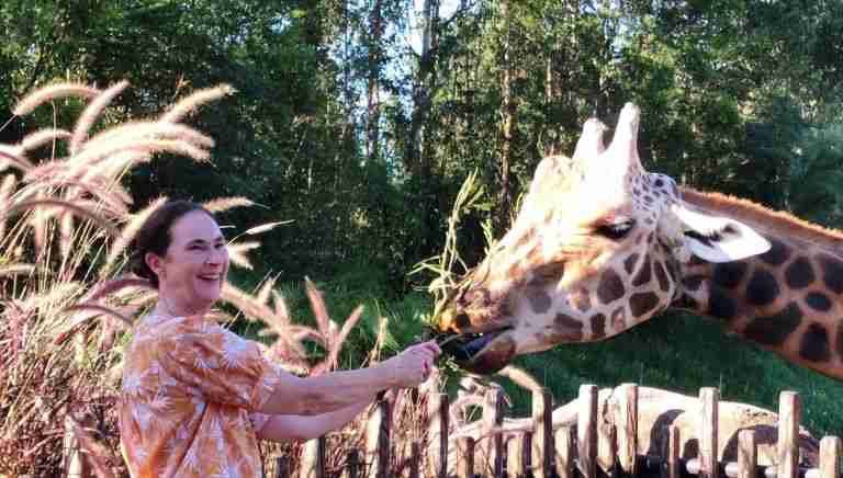Feeding a giraffe at Australia Zoo in Queensland