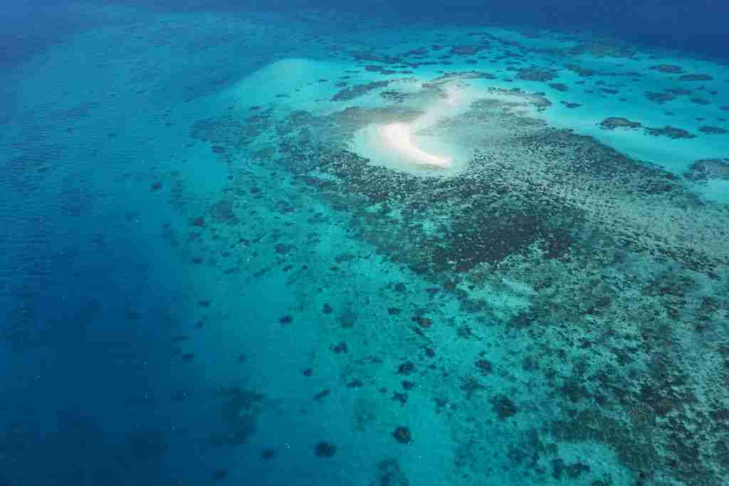 An aerial view of Michaelmas Cay on the Great Barrier Reef