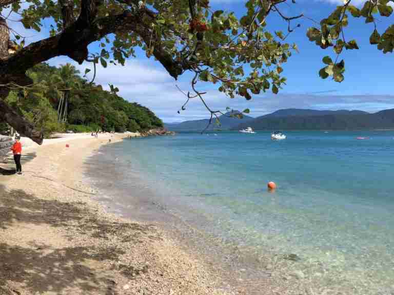 Is Fitzroy Island worth visiting with many things to do on Fitzroy Island