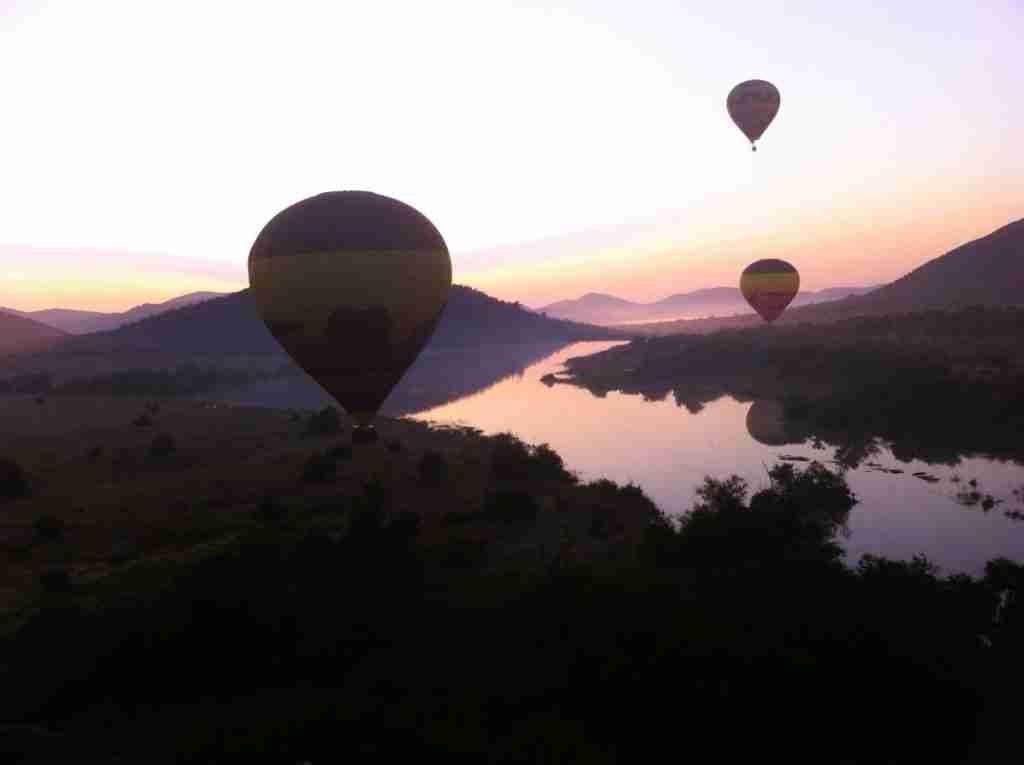 Hot air balloons at sunrise in the Pilanesberg National Park, South Africa