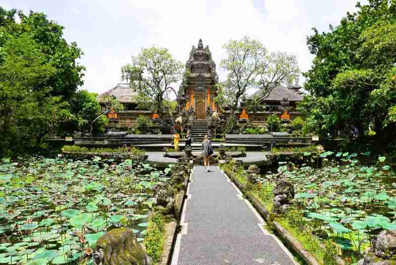 a lily ond at the Sarasvati Temple in Ubud Bali