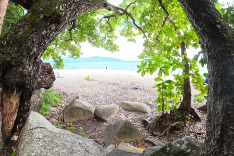 Green island or fitzroy island looking through the rainforest to a stunning beach with turquiose water