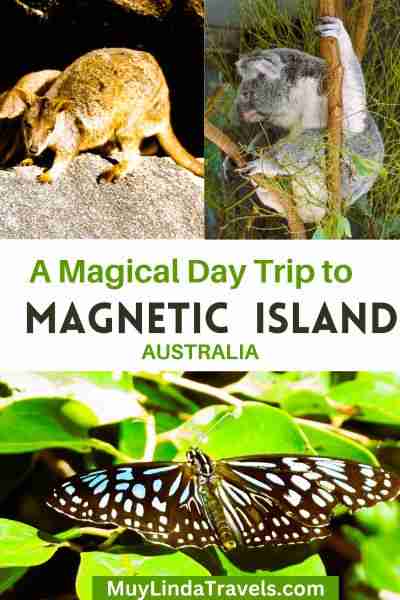 magnetic island trip