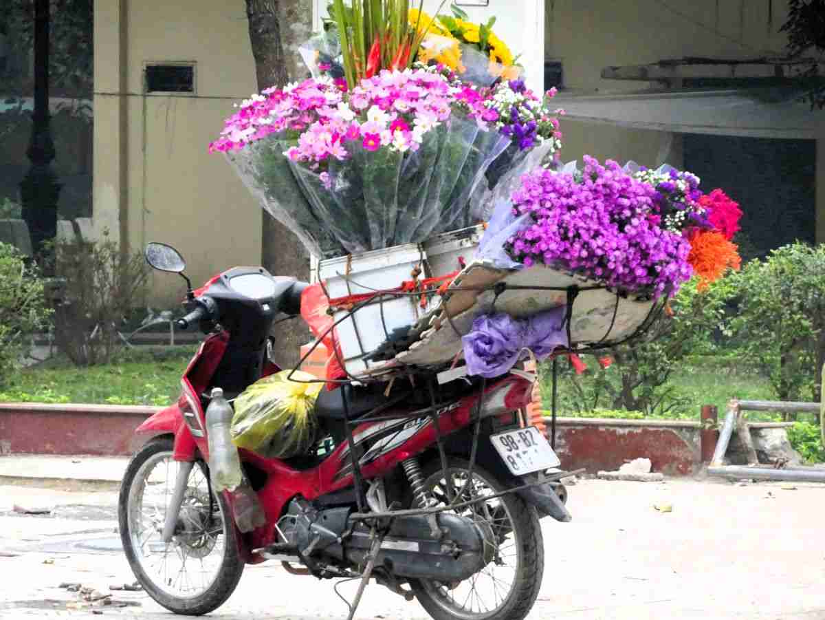 colourful flowers on a motorbike