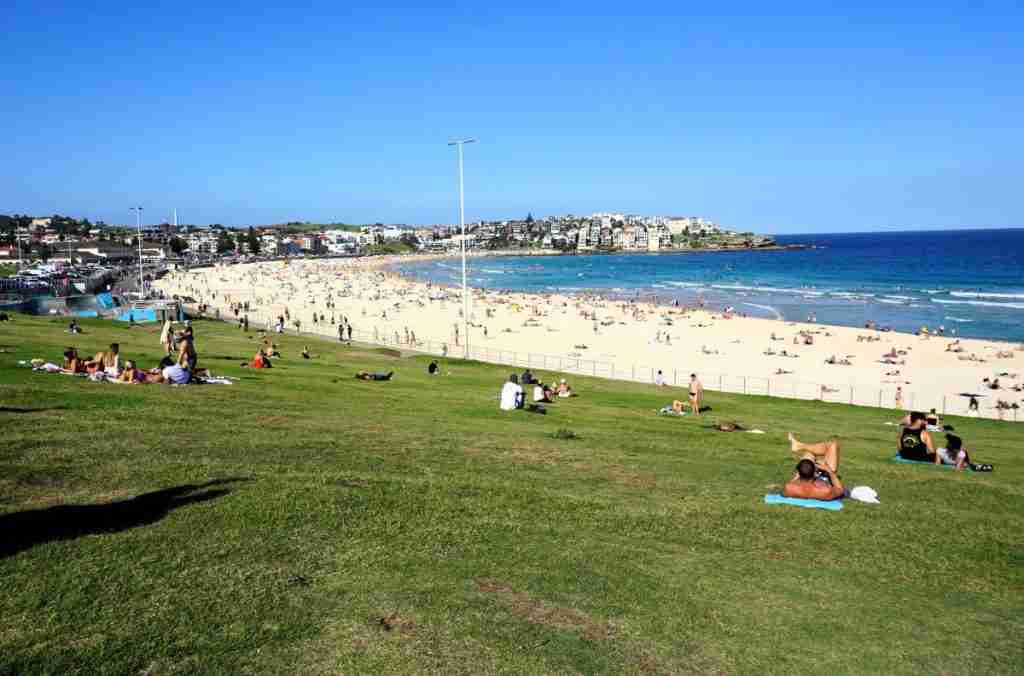 People relaxing on the green lawn on the hill behind the white sands of Bondi Beach