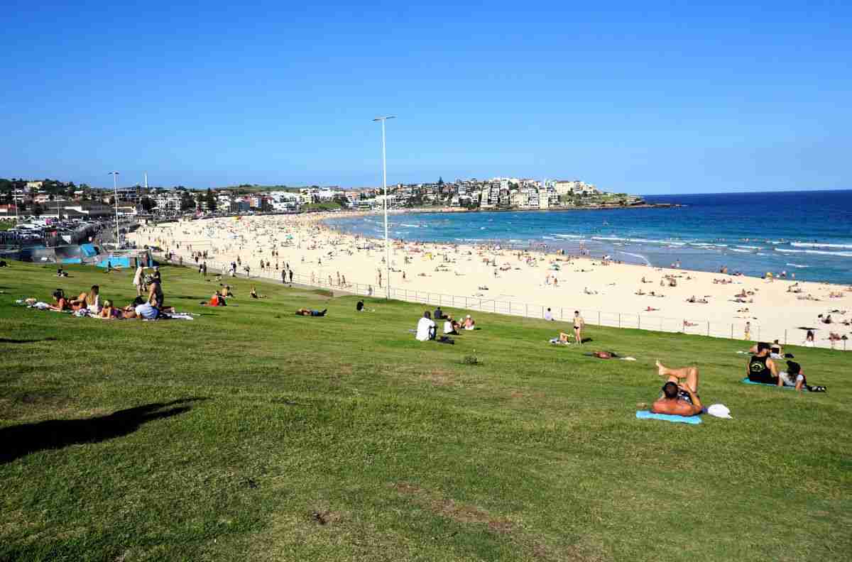 Is Bondi or Manly Beach Better in 2025? Muy Linda Travels