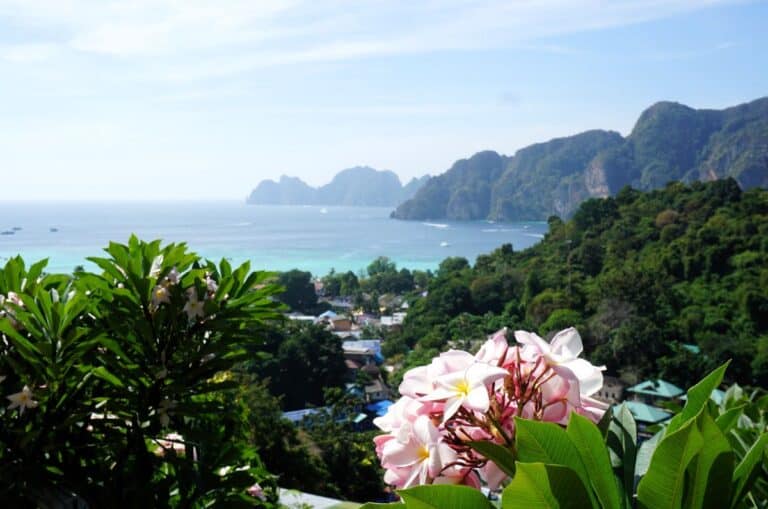 Is Phuket or Phi Phi Island Better? Where to stay in Thailand