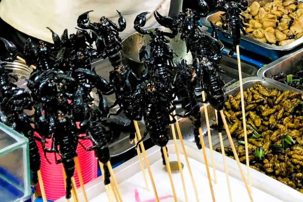 fried black scorpians on sticks, streetfood in Phuket Thailand
