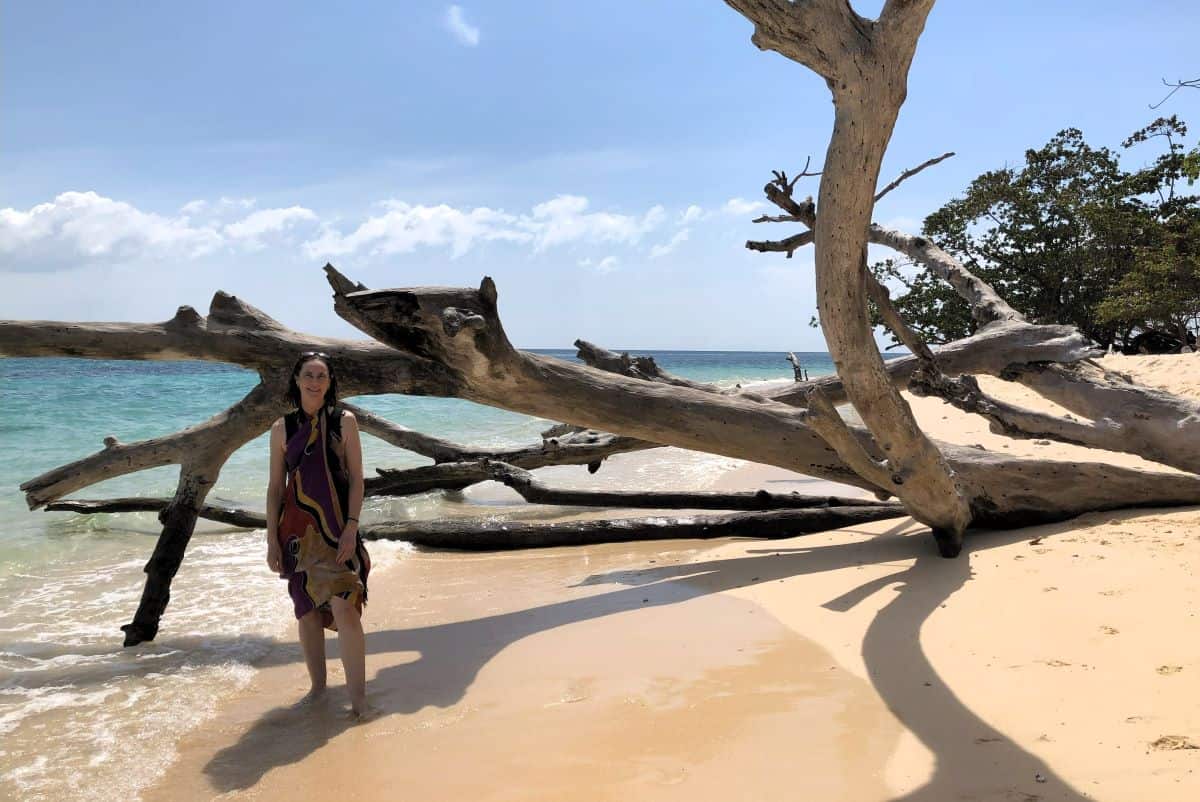 Drift wood on the beach on Koh Kradan