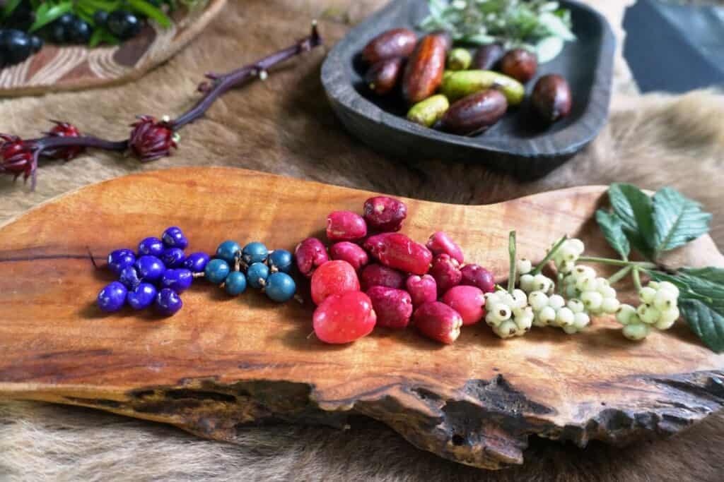 Colourful berries at Byron bay in Australia