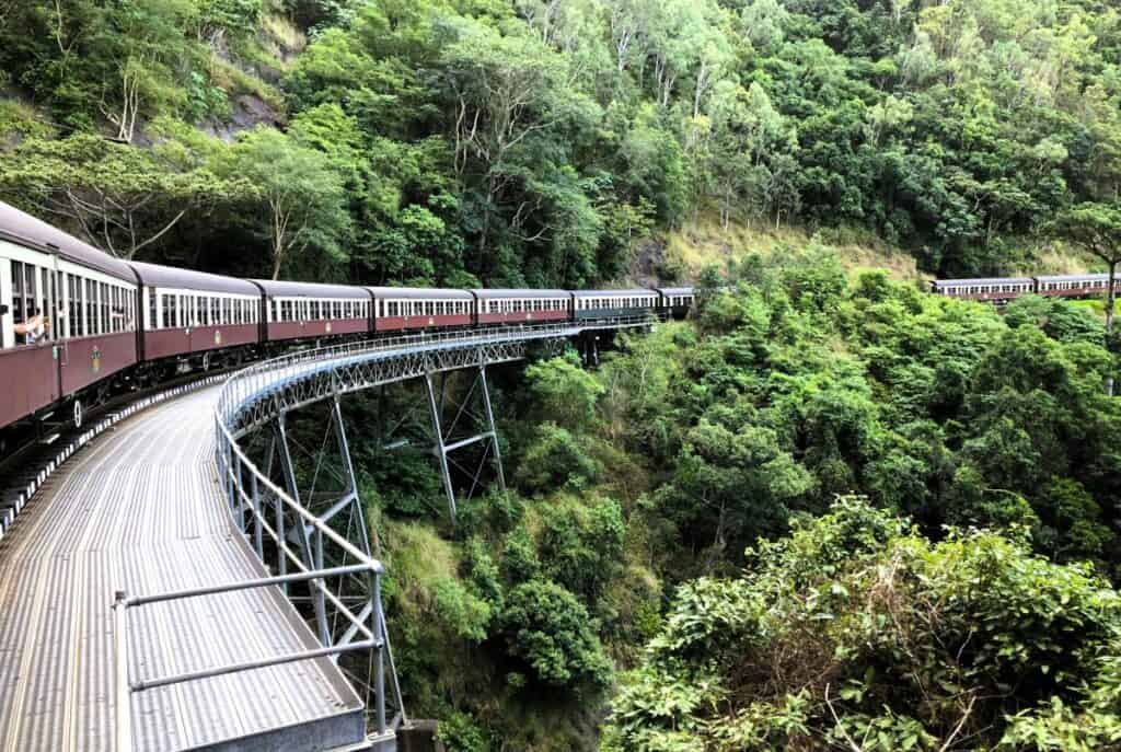 historic train crossing a bridge surrounded by lushh green trees in  the rainforest