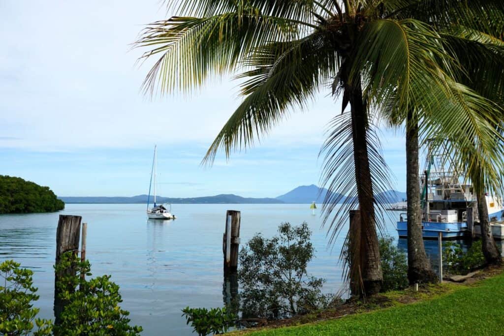 a boat on the water with a palm tree and grassy green river banks