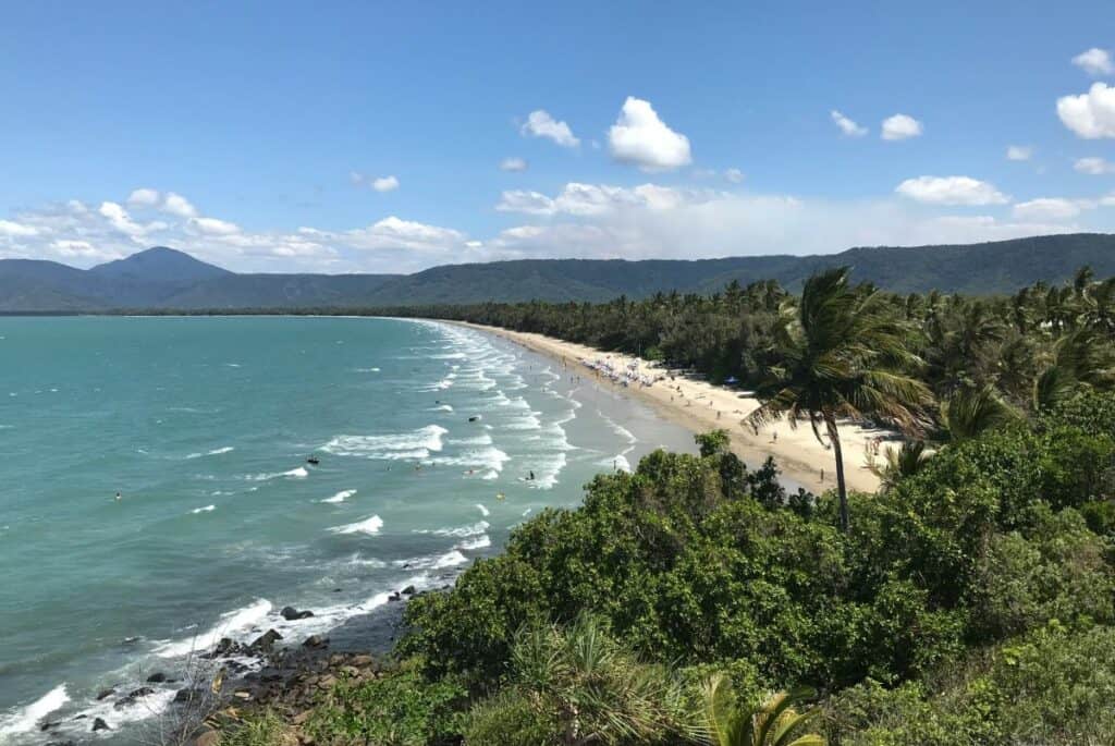 surf beach surrounded by forests and palm trees