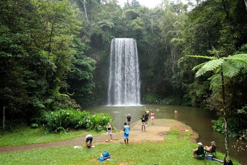 cascading waterfall surrounded by lush tropical rainforest with a large plunge pool and a grassy area in front