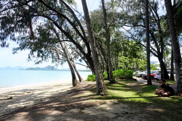 People sitting on the grass under palm trees beside the beach during the wet season in Cairns