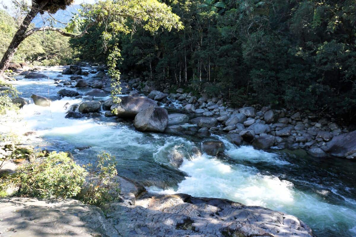 river with white water flowing over boulders surrounded by lush rainforest