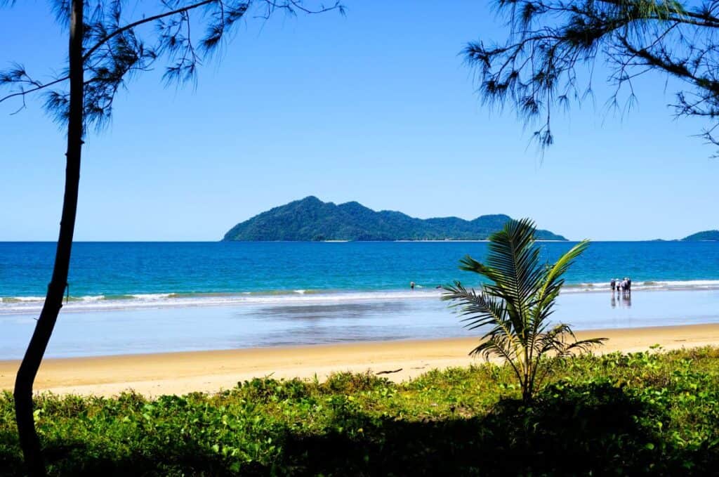 Grass, golden sand, blue water with Dunk Island in the background, covered in lush rainforest