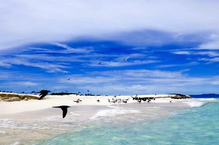 tuquoise water and blue skies with birds on a white sand beach