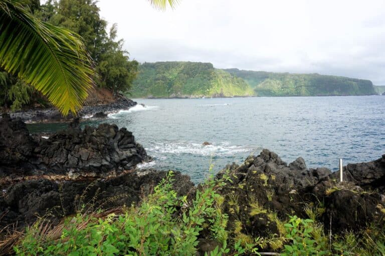 Coastal scene with blue ocean, palm trees and forest covered cliffs, a must-see for a Maui itinerary