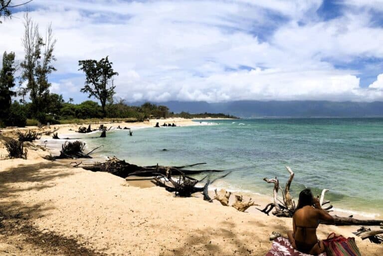 best area to stay in Maui Pa'ia for swimming with turtles. A golden sand beach drift wood and blue ocean