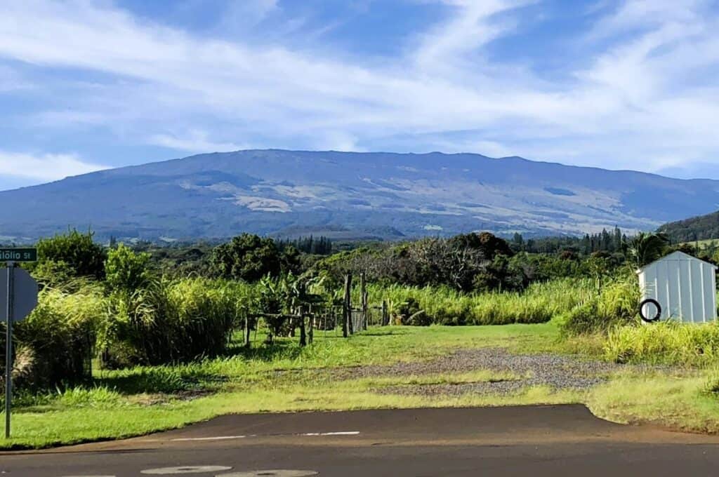 Green countryside with Haleakalā Mountain behind